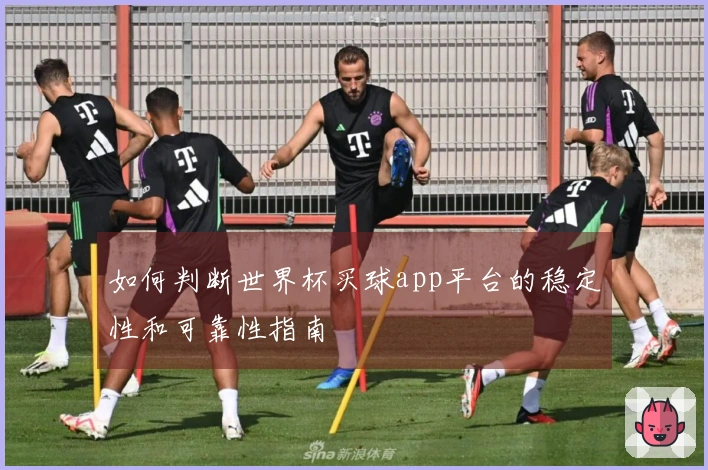 如何判断世界杯买球app平台的稳定性和可靠性指南