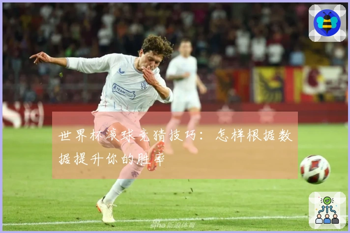 世界杯滚球竞猜技巧：怎样根据数据提升你的胜率