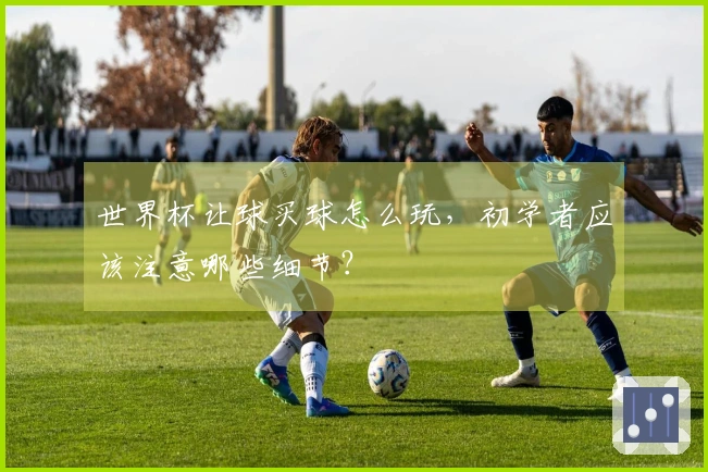 世界杯让球买球怎么玩，初学者应该注意哪些细节？