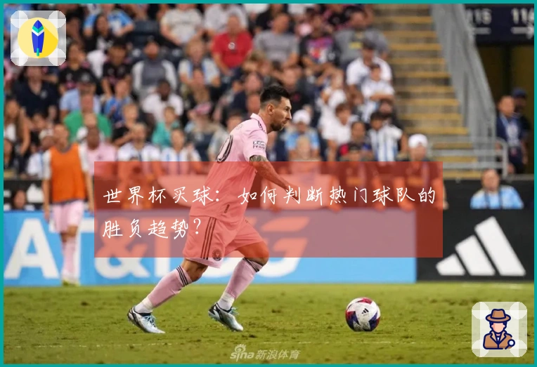 世界杯买球：如何判断热门球队的胜负趋势？