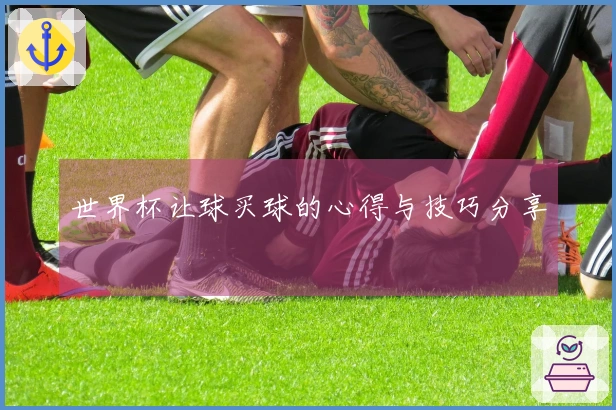 世界杯让球买球的心得与技巧分享