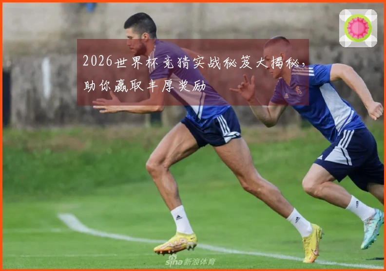 2026世界杯竞猜实战秘笈大揭秘，助你赢取丰厚奖励