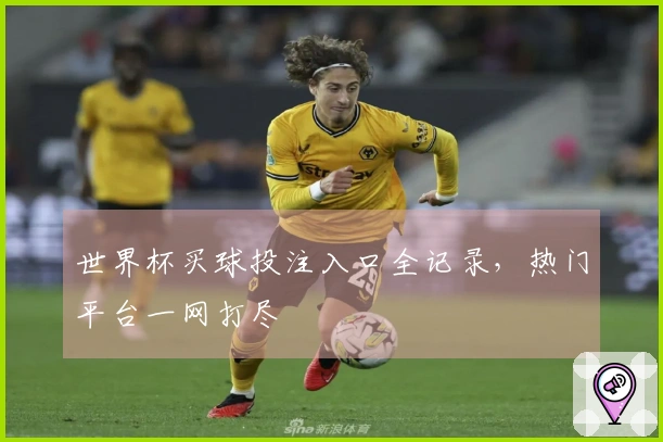 世界杯买球投注入口全记录，热门平台一网打尽