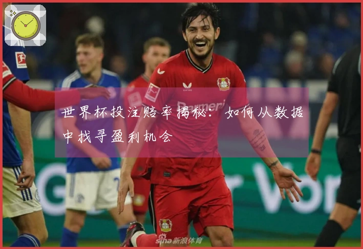 世界杯投注赔率揭秘：如何从数据中找寻盈利机会