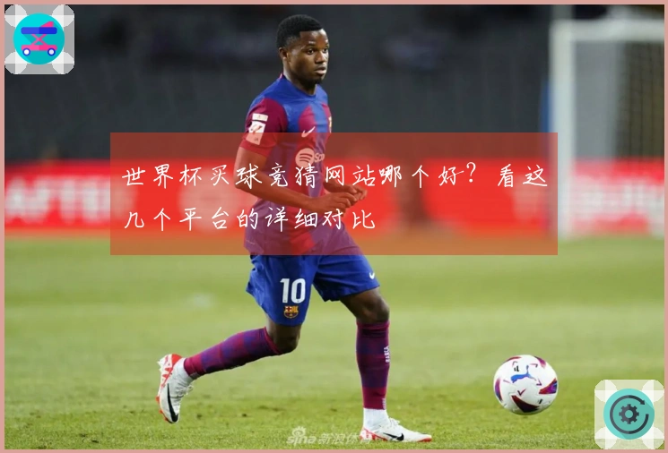 世界杯买球竞猜网站哪个好？看这几个平台的详细对比
