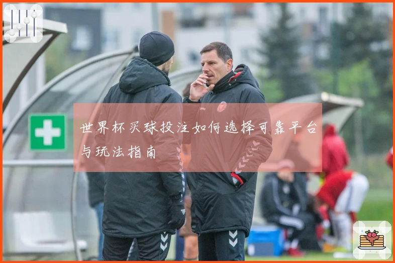 世界杯买球投注如何选择可靠平台与玩法指南