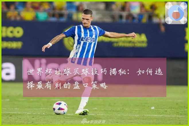 世界杯让球买球技巧揭秘：如何选择最有利的盘口策略