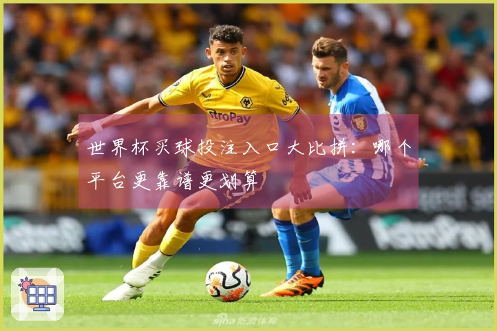 世界杯买球投注入口大比拼：哪个平台更靠谱更划算