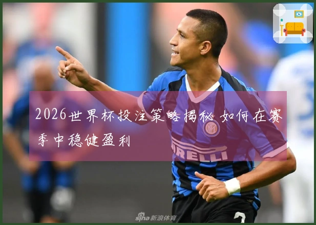 2026世界杯投注策略揭秘 如何在赛季中稳健盈利