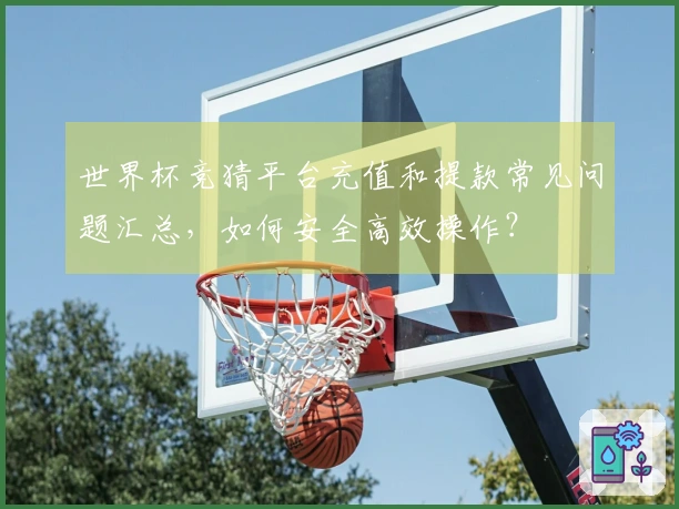 世界杯竞猜平台充值和提款常见问题汇总，如何安全高效操作？