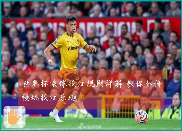 世界杯滚球投注规则详解 教你如何畅玩投注乐趣