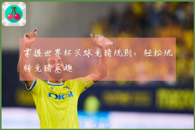 掌握世界杯买球竞猜规则，轻松玩转竞猜乐趣