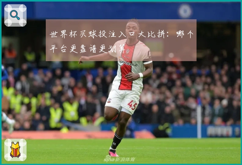 世界杯买球投注入口大比拼：哪个平台更靠谱更划算