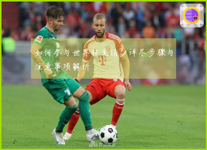如何参与世界杯竞猜？详尽步骤与注意事项解析