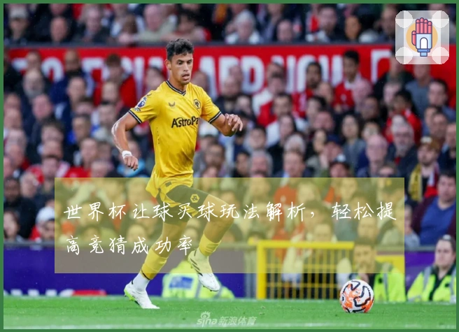 世界杯让球买球玩法解析，轻松提高竞猜成功率