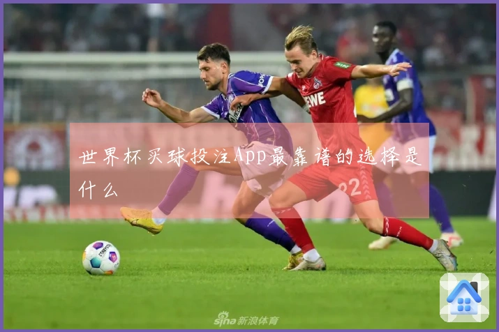世界杯买球投注App最靠谱的选择是什么