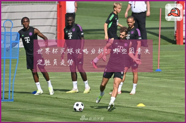 世界杯买球攻略分析：哪些因素决定胜负走势