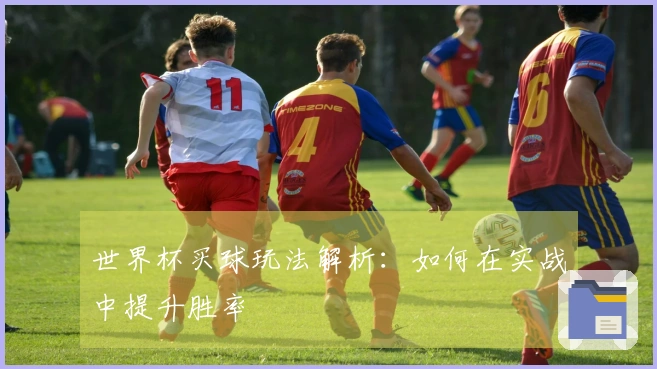 世界杯买球玩法解析：如何在实战中提升胜率