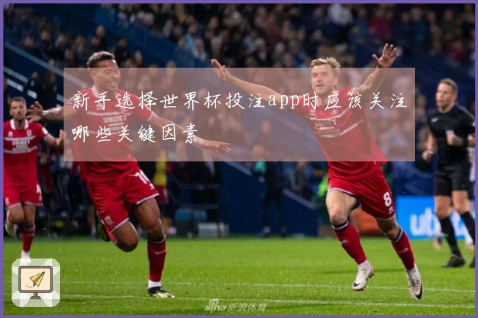 新手选择世界杯投注app时应该关注哪些关键因素