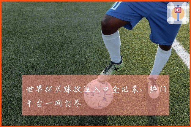 世界杯买球投注入口全记录，热门平台一网打尽