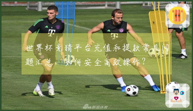 世界杯竞猜平台充值和提款常见问题汇总，如何安全高效操作？