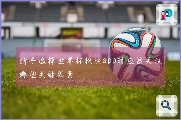 新手选择世界杯投注app时应该关注哪些关键因素