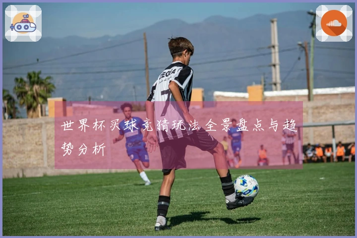世界杯买球竞猜玩法全景盘点与趋势分析