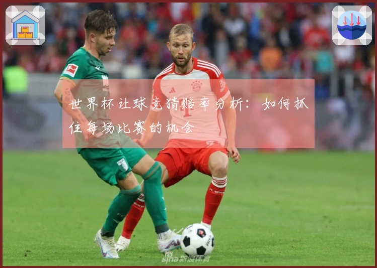 世界杯让球竞猜赔率分析：如何抓住每场比赛的机会